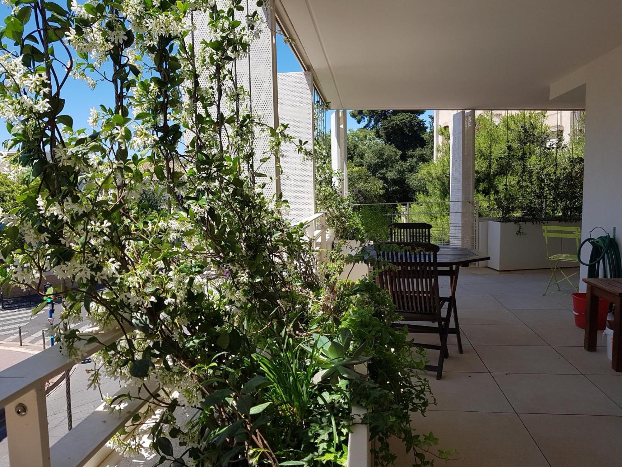 Appartement Centre Ville Beaux Arts 2 Personnes Calme Et Confort Montpellier Luaran gambar